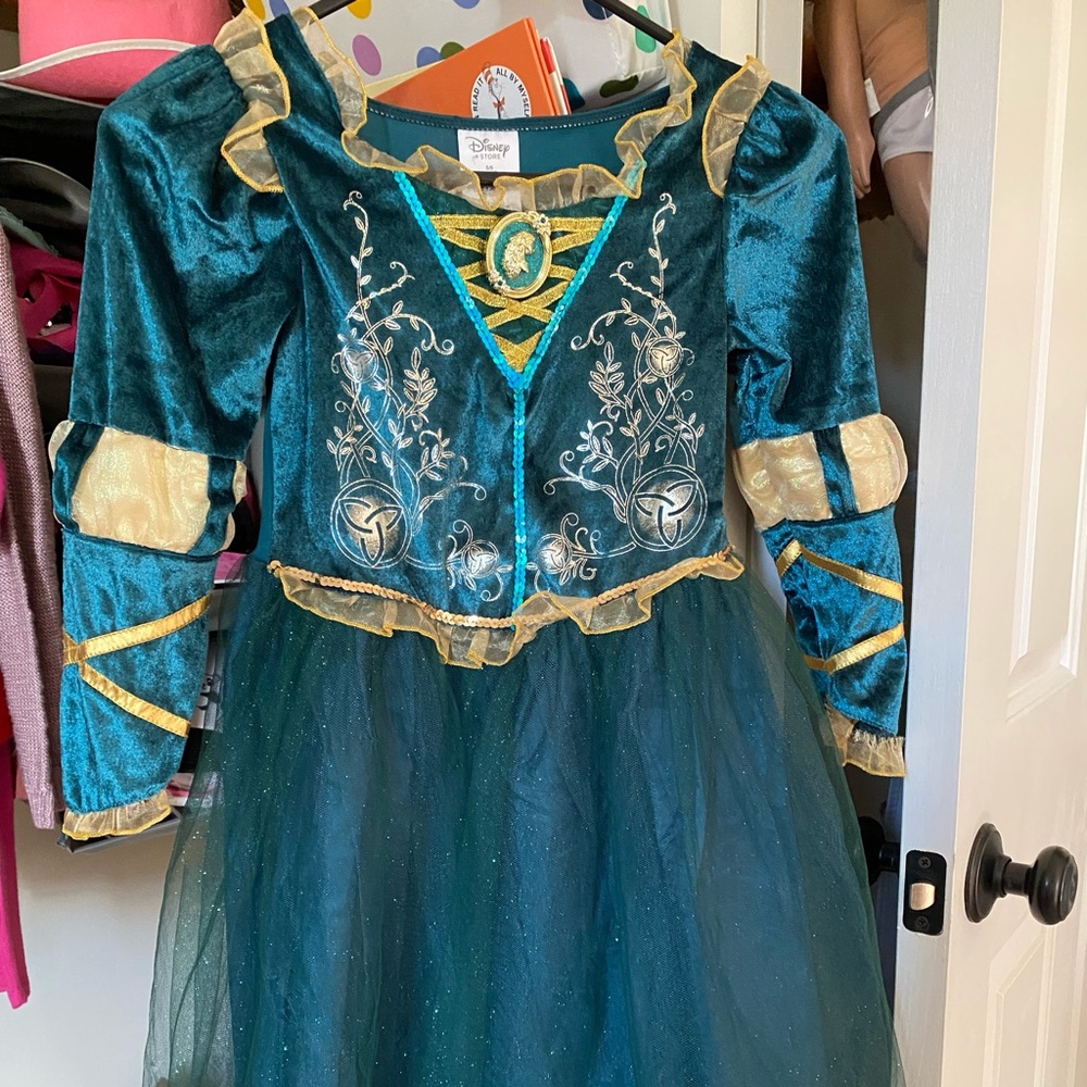 Disney Merida dress